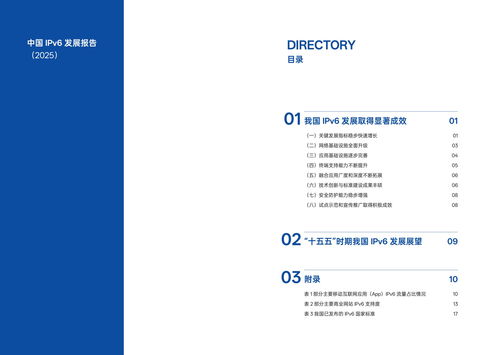我国IPv6发展实现跨越式突破 2025年活跃用户达8.65亿推动互联网开发与应用